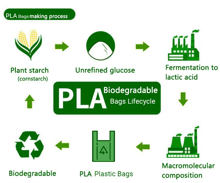 PLA-biodegradable-bags-polymerization