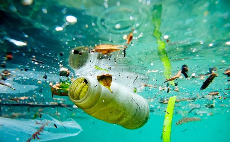 Plastic bottles, particularly PET, illustrate the alarming plastic degradation time in water of approximately 450 years, highlighting their significant contribution to oceanic plastic pollution