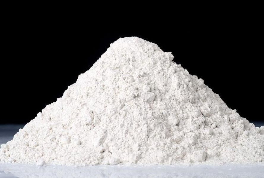 Exploring Organic Fillers