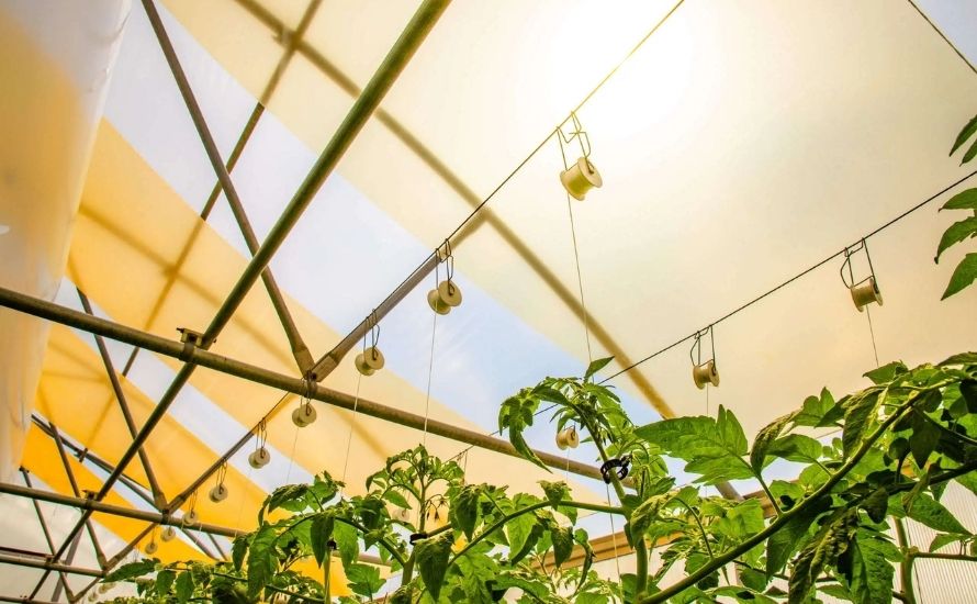 Thermoplastics are essential in agriculture for creating irrigation systems and greenhouse coverings