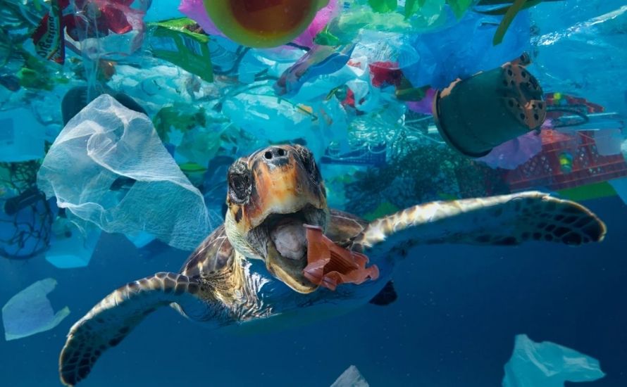 The alarming impact of plastic pollution in our oceans highlights the urgent need to address the issue of “plastic degradation time in water” to protect marine life and ecosystems