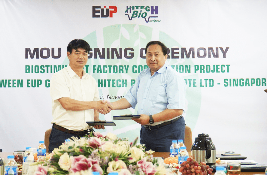 Sustainability activities Archives - EuP Egypt