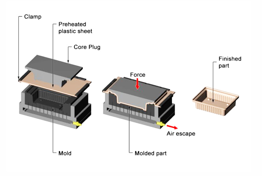 Thermoforming heats plastic sheets, molds them into desired shapes, and trims them into finished products